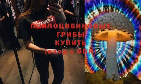 mdma Богородицк