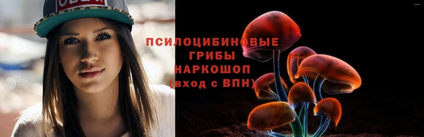стаф Бугульма