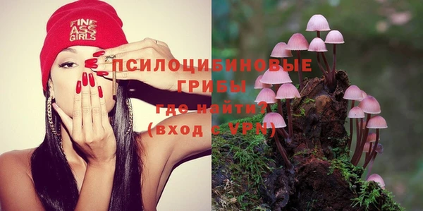 альфа пвп Бородино